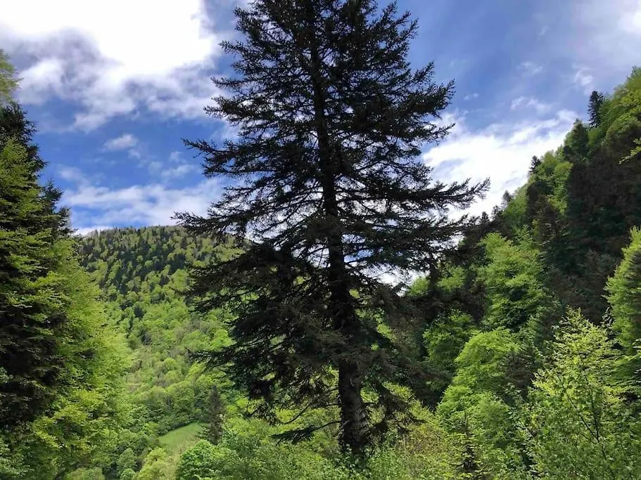 Castel Mt Villa Spacieuse Luchon Vue Montagnes Pyrenees Bagneres-de-Luchon 0*,  France