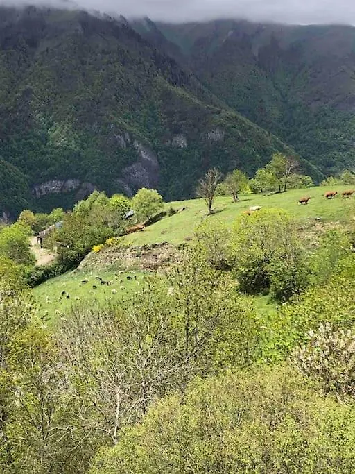Castel Mt Villa Spacieuse Luchon Vue Montagnes Pyrenees Bagneres-de-Luchon 0*,